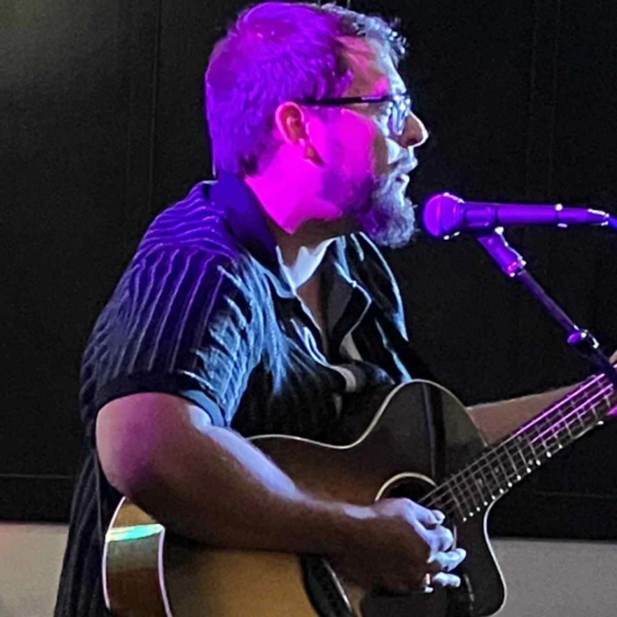 Ryan Mecillas w/ The Bitter Boxer + Good Magpie